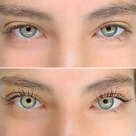 Hybrid lash extensions at Maison Montclair