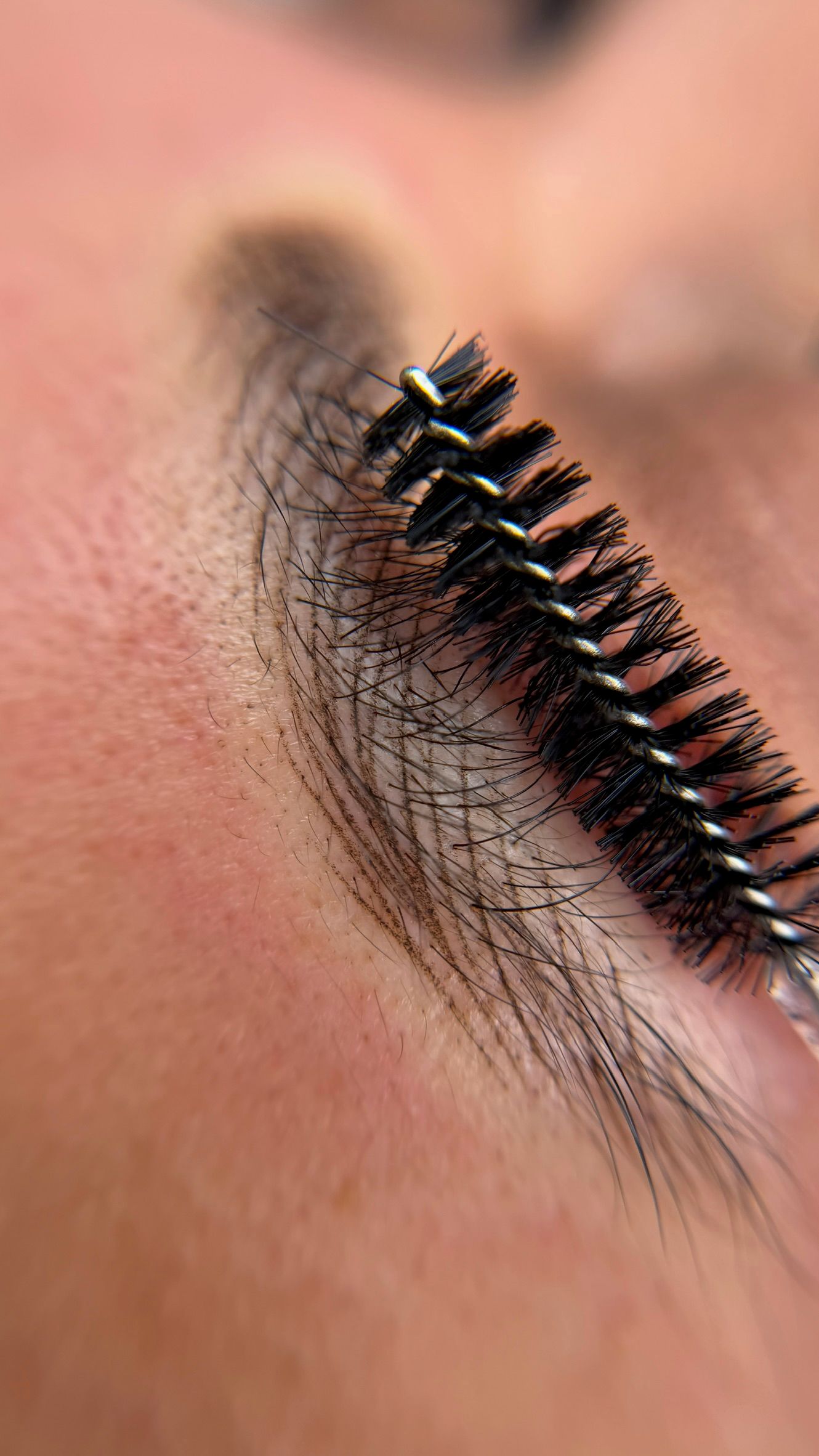 Nano brows result at Maison Montclair